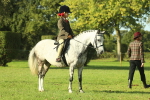 SBM_59207