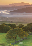 Portmeirion dusk