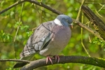 20120421-_MG_9569