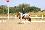 SBM_009316