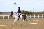 SBM_000950