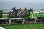 141125-Race 6-Frontier Prince-1509