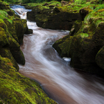 The Strid