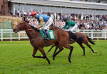 160626-Race 3-Tactical Formation-3