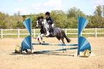 SBM_001198