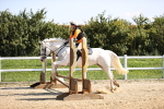 SBM_001521
