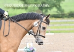 BPP_0192