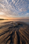 Sands of Gold
