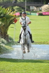 Dinard C E