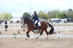 SBM_00507