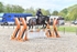BPP_4596