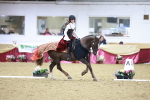 SBM_10276