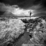BW005 Towards Glencoe Rannoch Moor