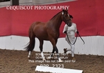 BPP_2323