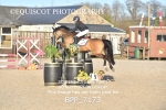 CLASS 19 SUN Pony Discovery / 90cm Open portfolio
