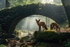 pr104 Foxes BridgeDaishes -standard-scale-2_00x