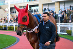 121225-Race 4-Herakles Westwood-5206