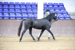 SBM_5423