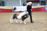 SBM_17343