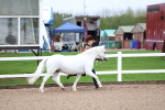 SBM_00231