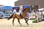 SBM_000656