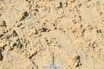 251004A-115812-00838