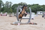 BPP_9392