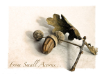 From Small Acorns