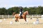 SBM_016046