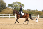 SBM_009591