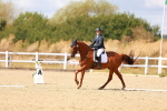SBM_011834