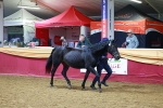 SBM_16012