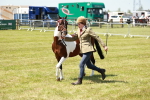 SBM_05462