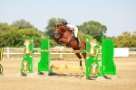 SBM_002236
