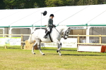 SBM_11763