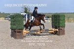 BPP_7978