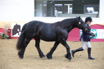 SBM_23635