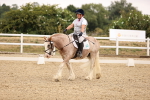 SBM_006428