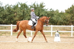 SBM_007565