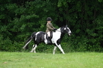 WJ7_2007