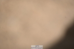 240323A-151446-02425