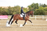 SBM_008733