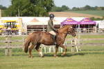 SBM_09742