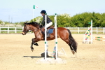 SBM_007132