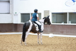 SBM_008984