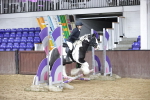 SBM_000135
