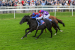 Race 3 3.00pm Sky Bet Great Voltigeur Stakes portfolio