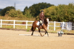 SBM_009379