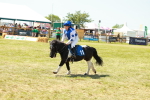 SBM_17235