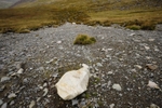 landslide, Cwm Tryfan
